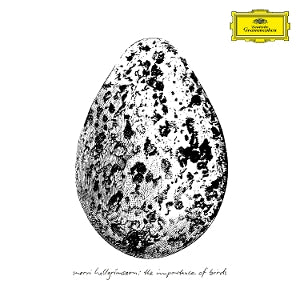 Snorri Hallgrimsson – The Importance of Birds (LP)