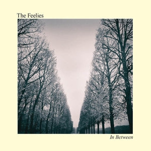 Feelies – In Between (LP)