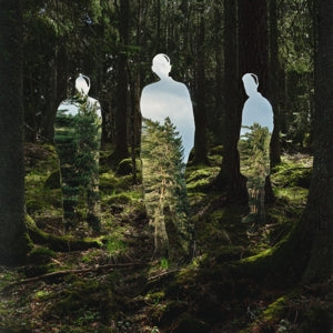 Johannes Brecht Trio – Disparaitre (LP)