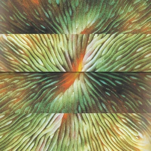 Active Surplus – Mirroring (LP)
