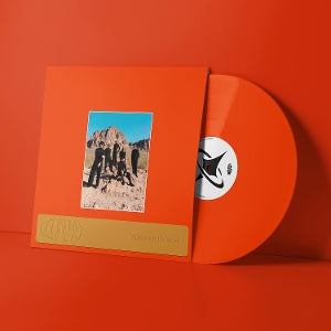 Leisure – Welcome To the Mood (LP)