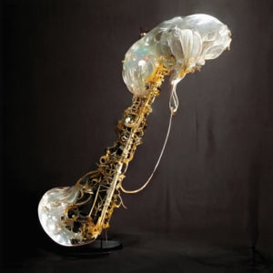 Sam Gendel – Cookup (LP)