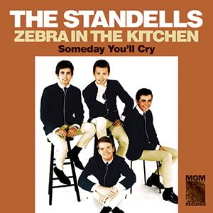 Standells – Zebra In the Kitchen (12in)