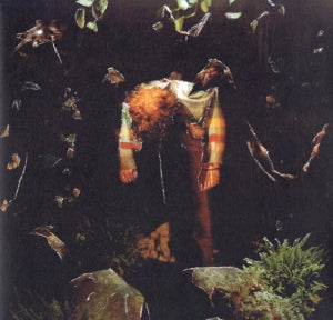 Cavetown – Worm Food (LP)