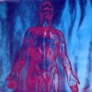 Nirvana – Sliver (12in)