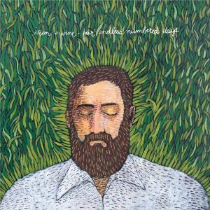 Iron & Wine – Our Endless Numbered Days (LP)