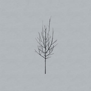 Low – Ones and Sixes (LP)