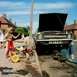Sam Morton – Daffodils & Dirt (LP)