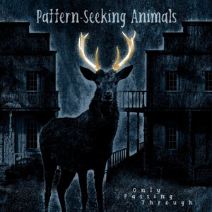 Pattern-Seeking Animals – Only Passing Through (LP)
