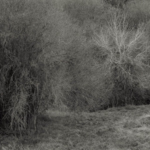 K. Leimer – Atrophies For Piano (LP)
