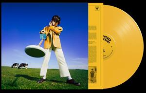 Declan McKenna – What Happened To the Beach? (LP)
