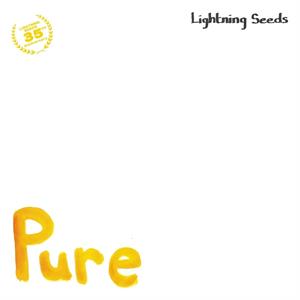 The Lightning Seeds – Pure/All I Want (12in)