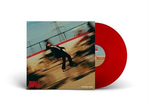 Bradley Simpson – The Panic Years (LP)