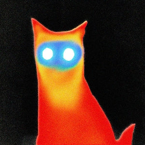 Basement – Wired (LP)