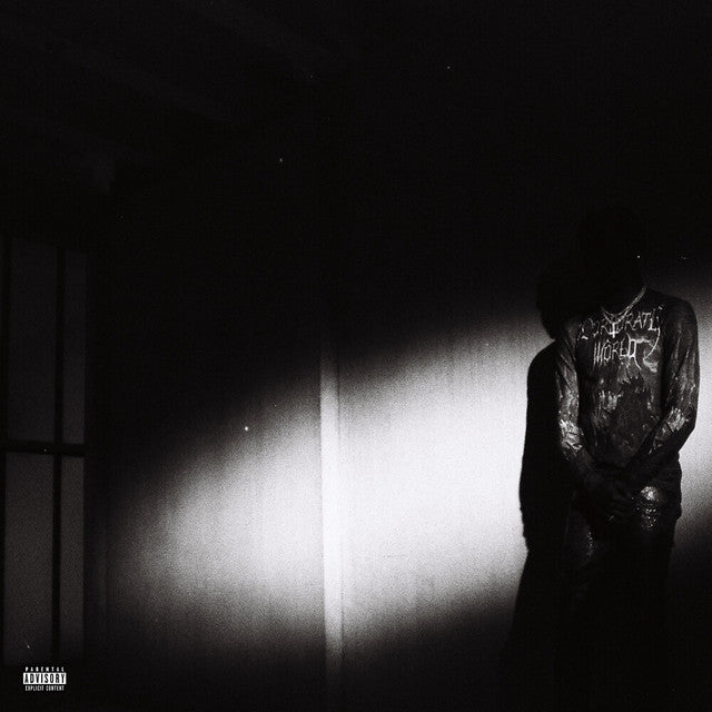 Destroy Lonely – No Stylist (LP)