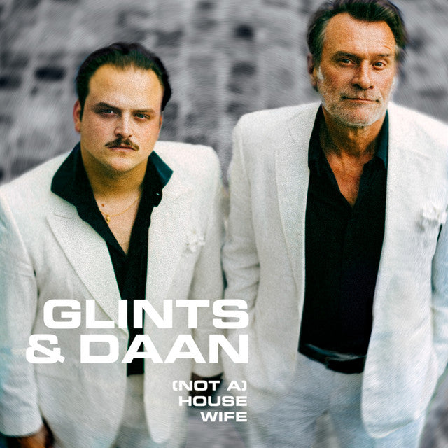 Glints & Daan – (Not A) Housewife (12in)