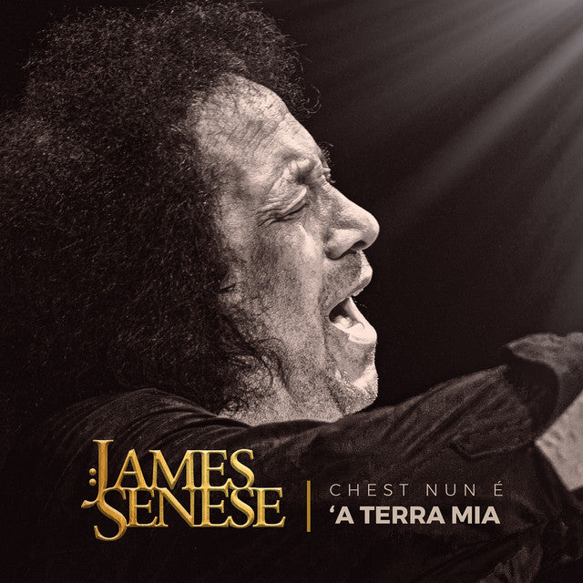 James Senese – Chest Nun E a Terra Mia (LP)