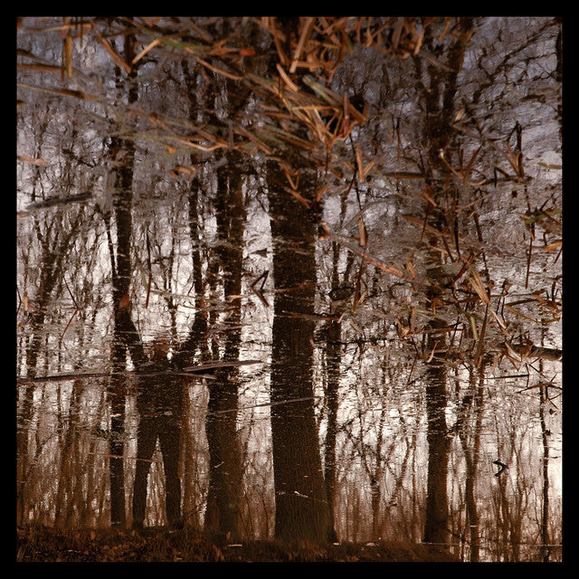 Apoptose – Bannwald (LP)