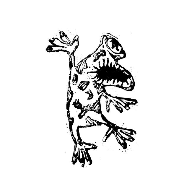 Ulrich Troyer – Nok 2020 (LP)