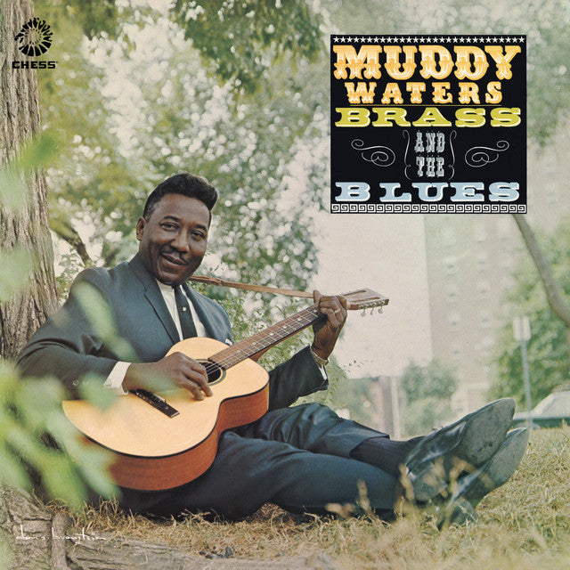 Muddy Waters – Muddy