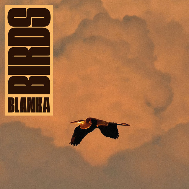 Blanka – Birds (LP)