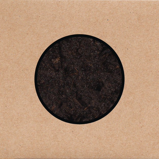 Swans – Birthing (LP)
