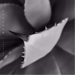 Dirk Serries – Epitaph (LP)
