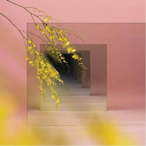 Witxes – Orients (LP)