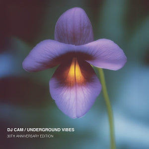 DJ Cam – Underground Vibes (LP)