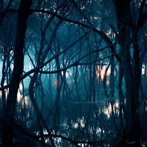 Oneirogen – Kiasma (LP)