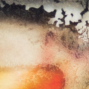 Multicast Dynamics – Scape (LP)
