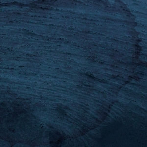 Multicast Dynamics – Aquatic System (LP)