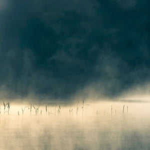 Oneirogen – Convivium (LP)