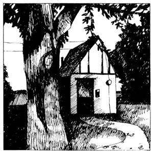 Naomi Lewis – Cottage Songs (LP)