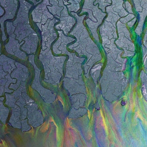 Alt-J – An Awesome Wave (LP)