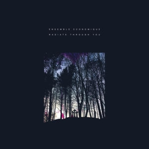Ensemble Economique – Radiate Through You (LP)