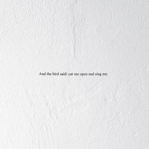 Prairie – And the Bird Said: Cut Me Open and Sing Me (LP)