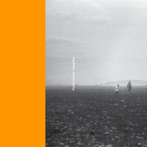 Portico Quartet & Rani Hania – Portico Quartet and Hania Rani (12in)