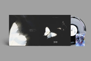Chase Atlantic – Dalliance (LP)