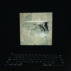 Lambchop – Bible (LP)