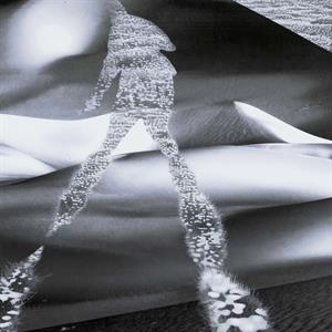 Zadeh – Psssh 004 (12in)