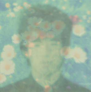 Love Wonderland – The Best Twilights of (LP)