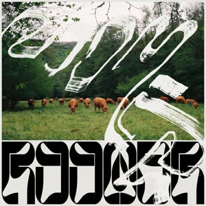 Roomer – Skice (LP)