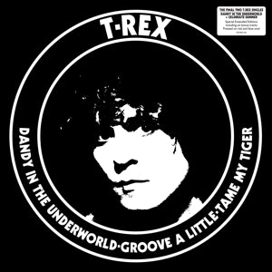 T. Rex – Dandy In the Underworld (12in)