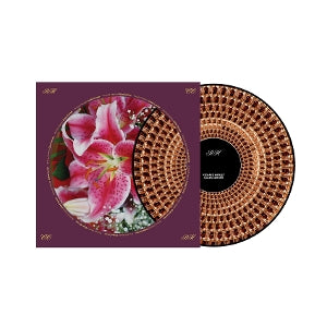 Richard Hawley – Coles Corner (LP)