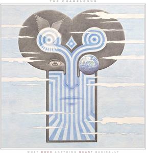 Chameleons – What Does Anything Mean? Basically (LP)