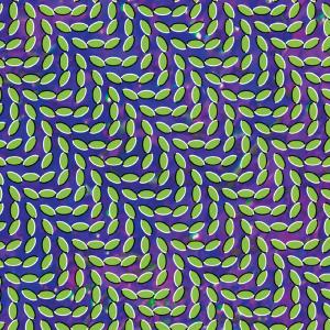 Animal Collective – Merriweather Post Pavilli (LP)