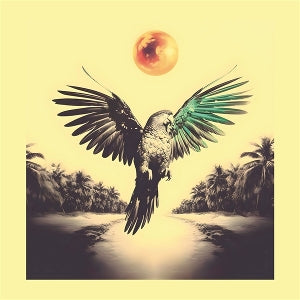 Sam Nobrega – Ponta De Dois Lados (LP)