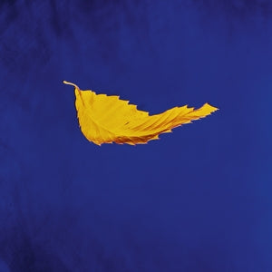 New Order – True Faith (12in)