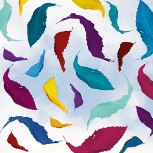 New Order – True Faith Remix (12in)